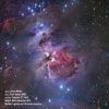 Tubo CELESTRON Rowe Ackermann RASA 11"