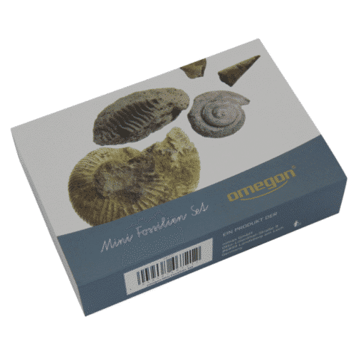 Juego de minifósiles Omegon Juego de minifósiles Omegon