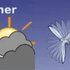 WidgetAAG2-min Lunatico SOLO (sin carril DIN) - Ordenador para controlar el AAG CloudWatcher